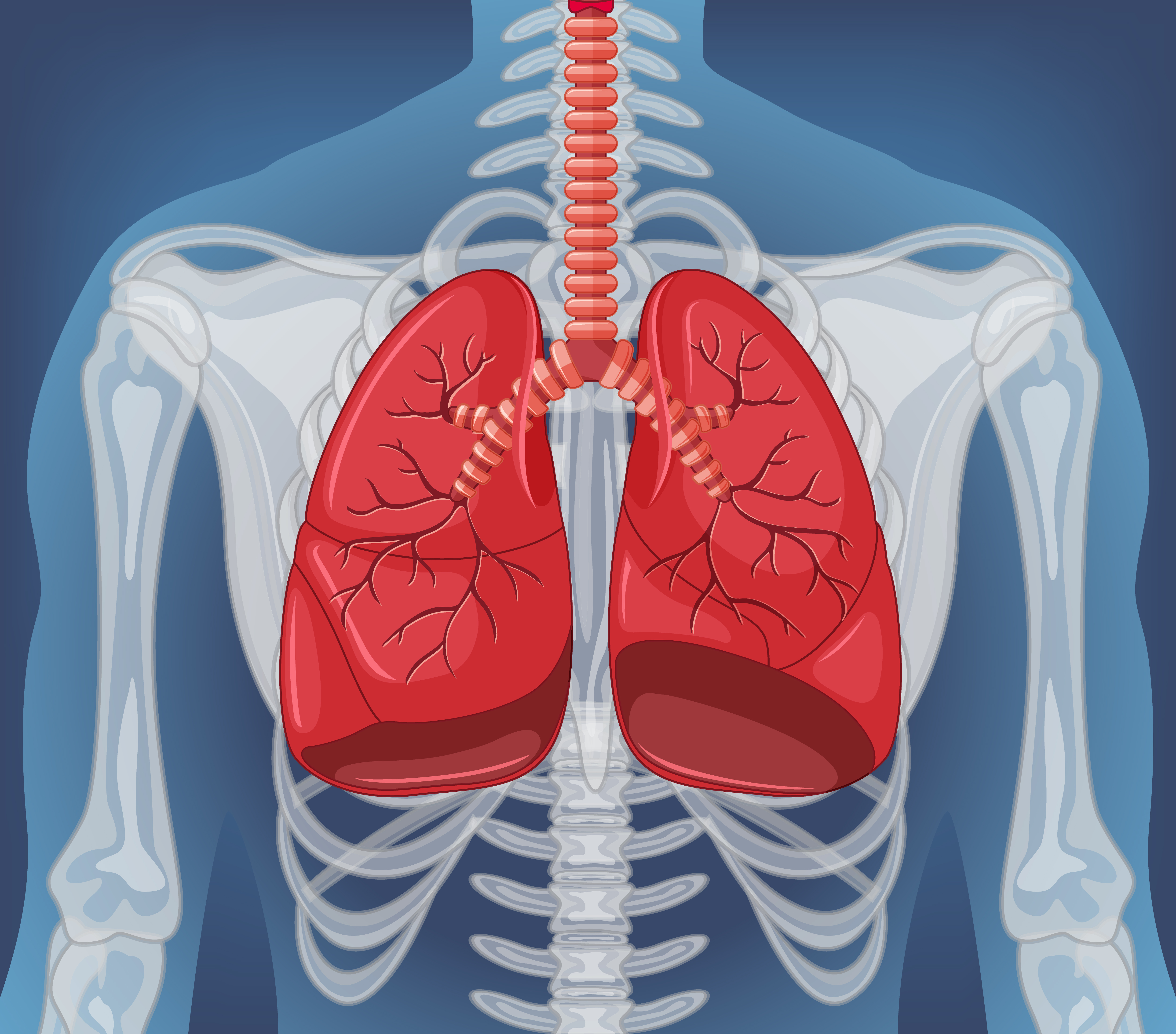 Background image of lungs for RespiraCare landing page